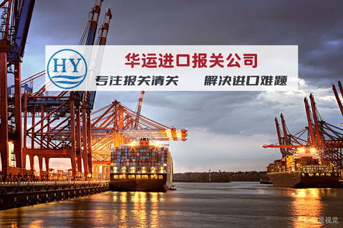 专业门到门 上海海运榴莲进口清关与全程运输代理全攻略