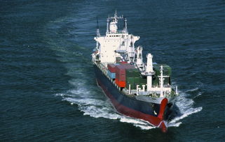 别再傻傻分不清了，货代公司与海运操作还是有区别的