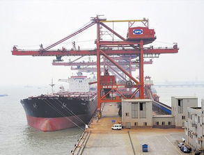 烟台至厦门内贸海运 价格构成与专业运输代理服务详解